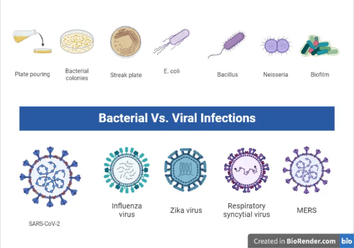 Viral infections and treatments